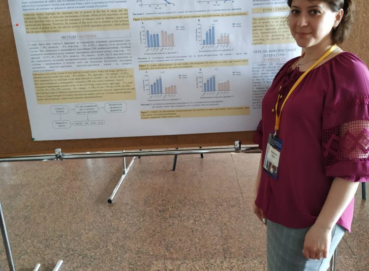 60748022_479359152883336_2936271558894682112_n