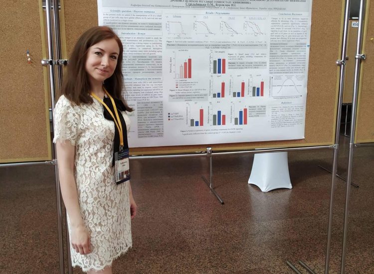 61547711_2295421820777520_968067400677195776_n